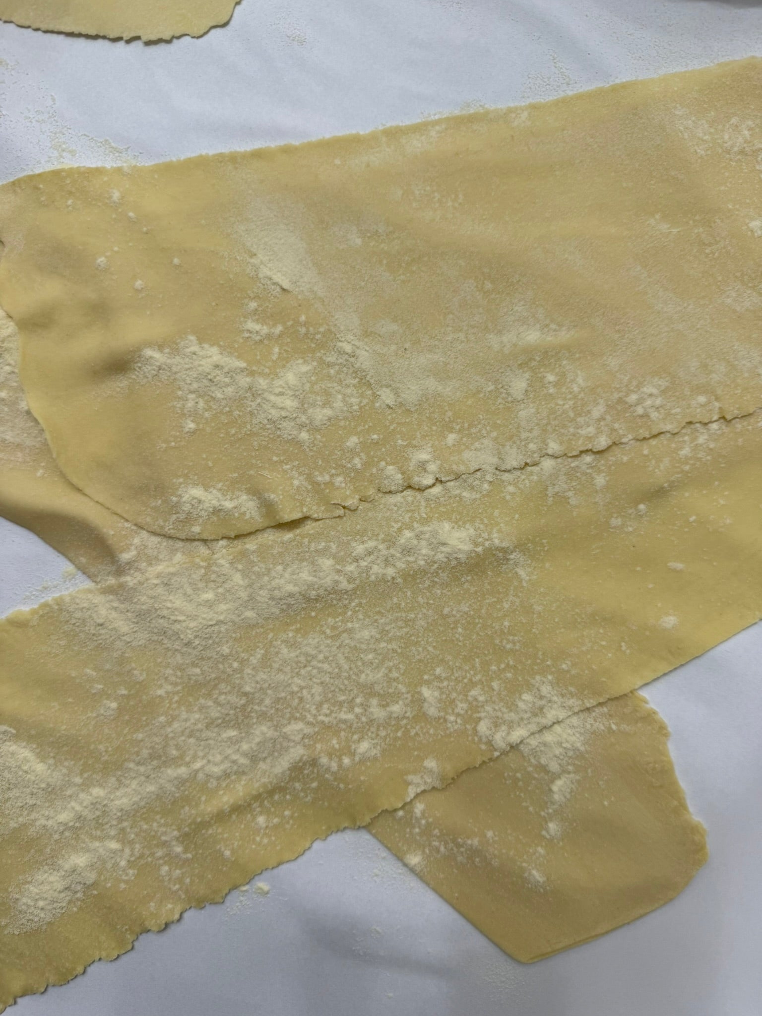 Homemade Fresh Pasta - South Florida Only